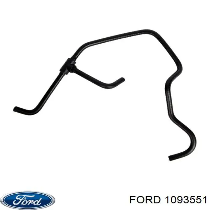 6595570 Ford Шланг/патрубок радіатора охолодження, нижній