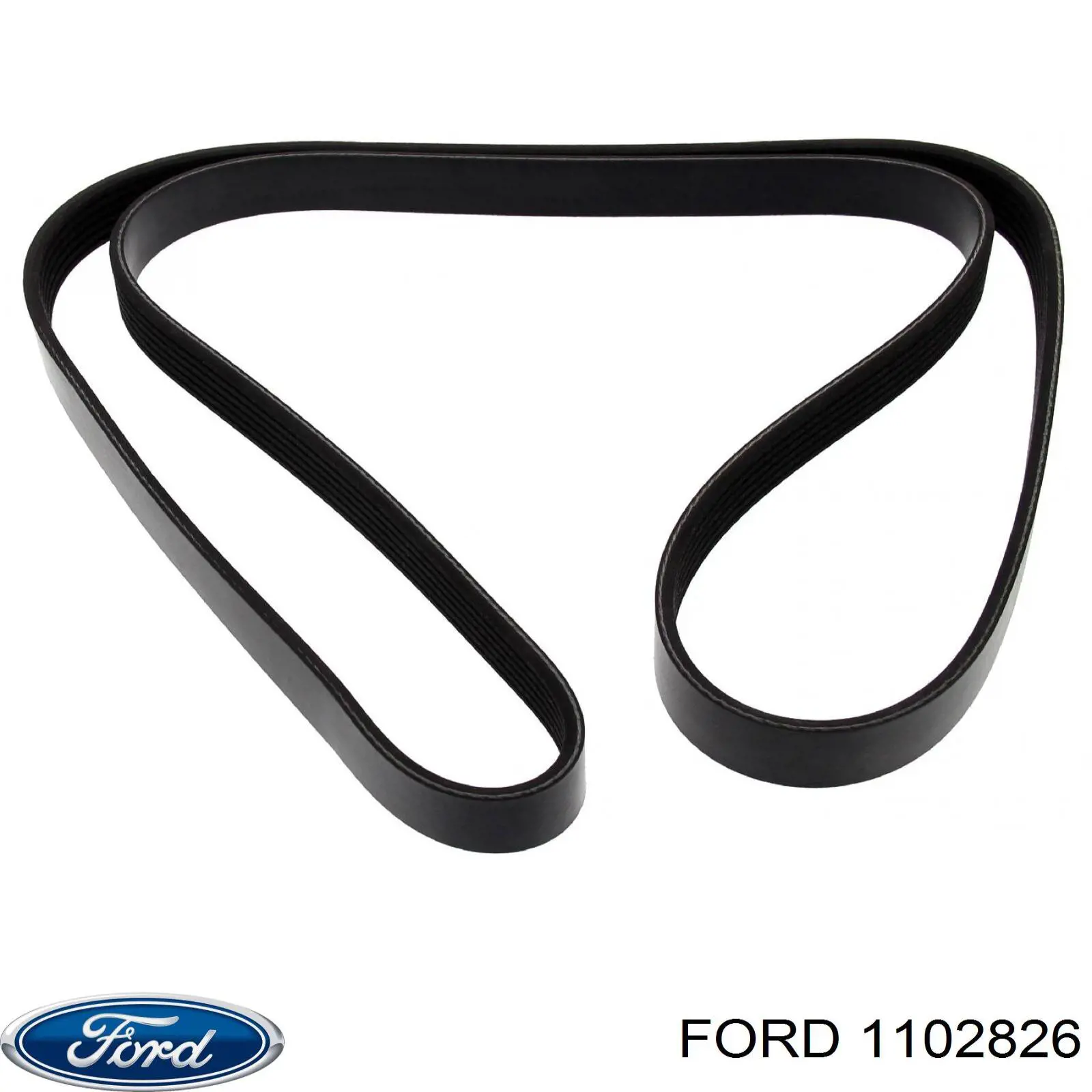 Купити 1102826 Ford Ремінь генератора