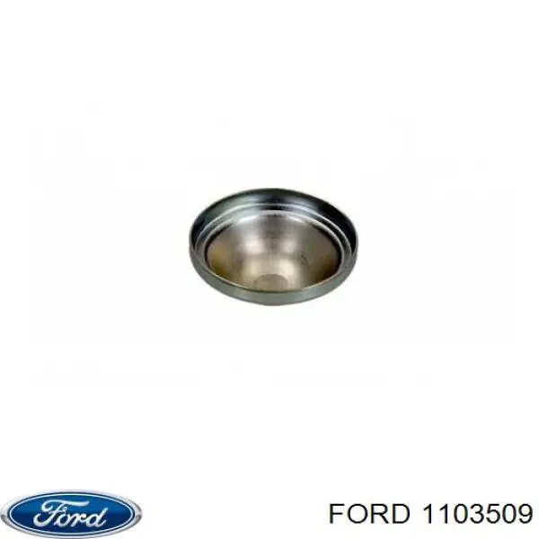 Заглушка маточини Ford 1103509 ціна, від 2.17 USD