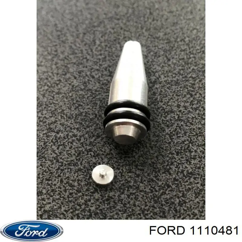  1110481 Ford