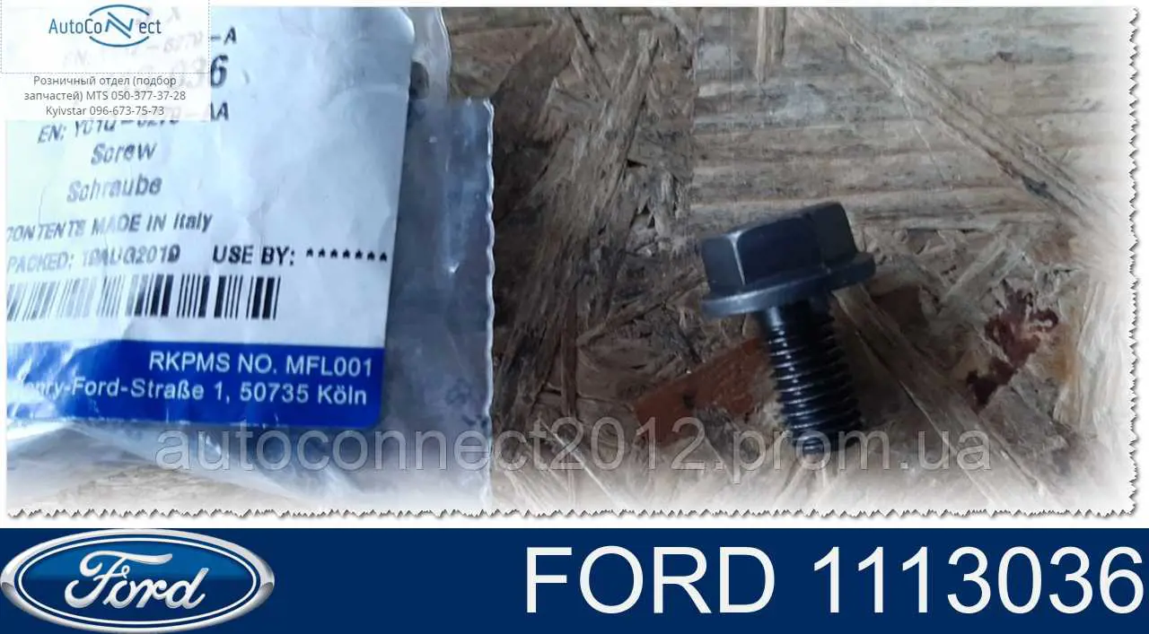 1113036 Ford 