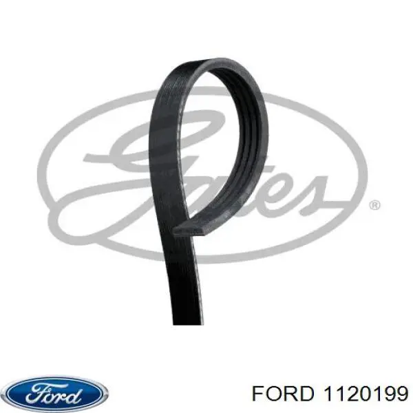 Клиновий ремінь Ford 1120199 ціна, від 5.39 USD