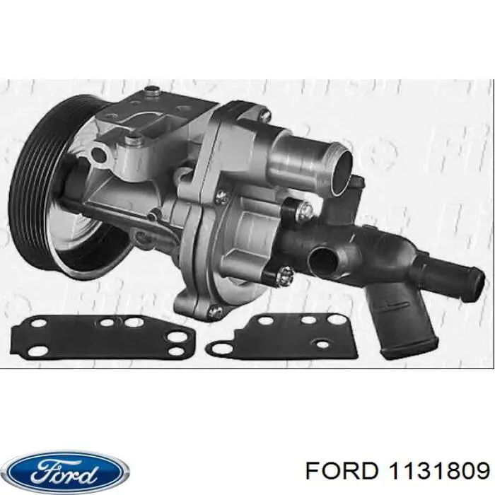 Купити 1131809 Ford Насос охолоджуючої рідини