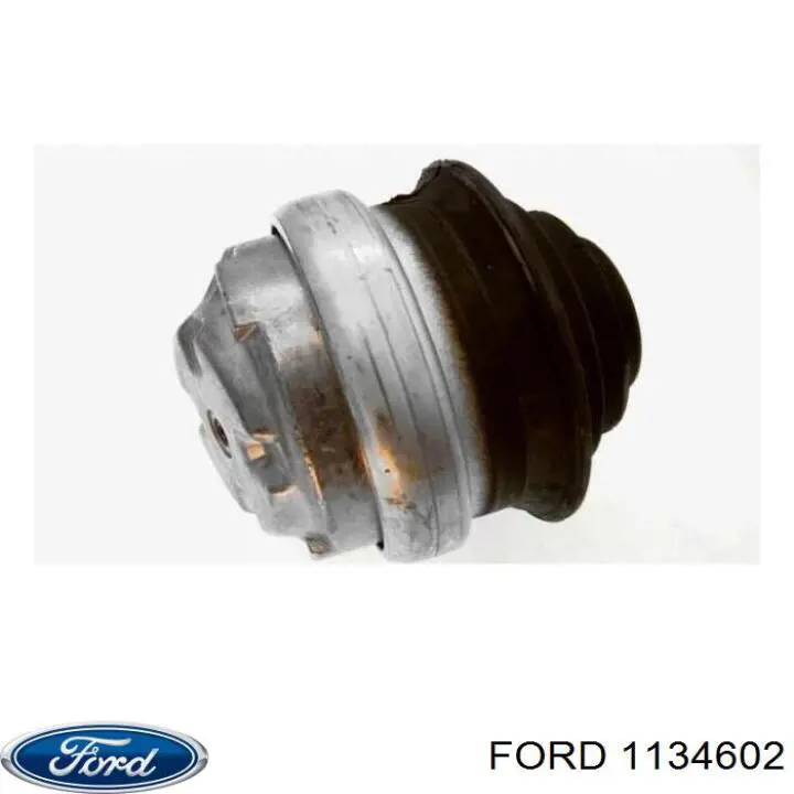 Купити 1134602 Ford Шланг розширювального бачка, нижній