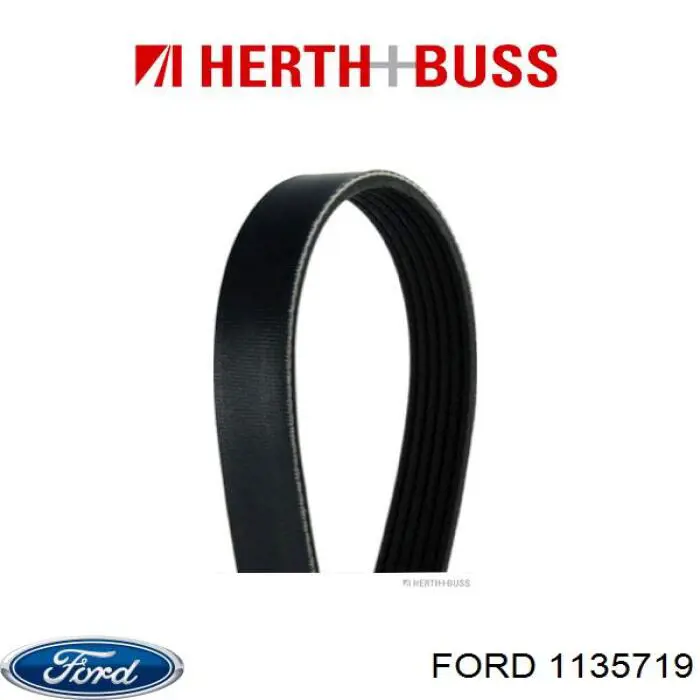 Купити 1135719 Ford Ремінь генератора