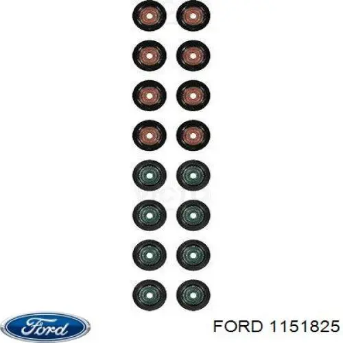 1151825 Ford сальник клапана (маслознімний, впускного)