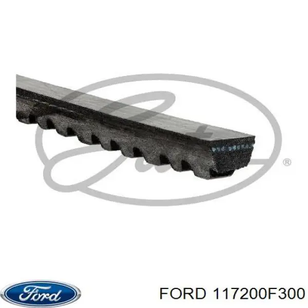 Клиновий ремінь Ford 117200F300 ціна, від 3.98 USD