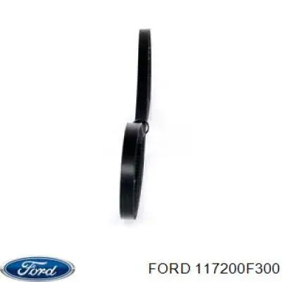 Купити 117200F300 Ford Ремінь генератора