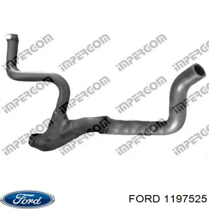 Купити 1197525 Ford Шланг/патрубок радіатора охолодження, нижній