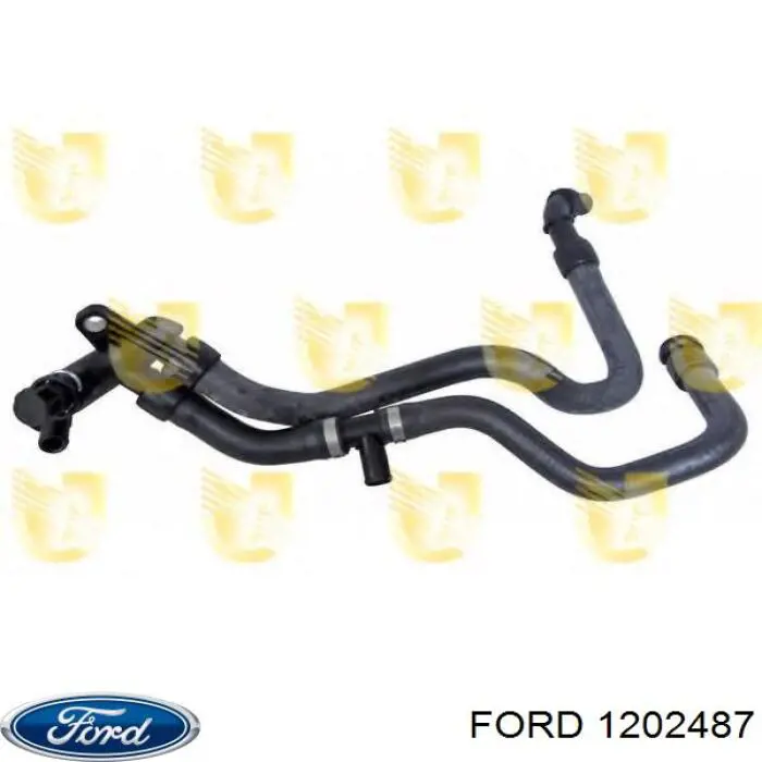 Купити 1202487 Ford Шланг/патрубок водяного насосу, приймальний
