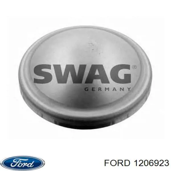 Купити 1654113 Ford Заглушка маточини