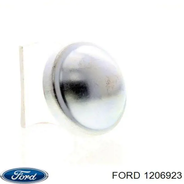 Заглушка маточини 1654113 Ford