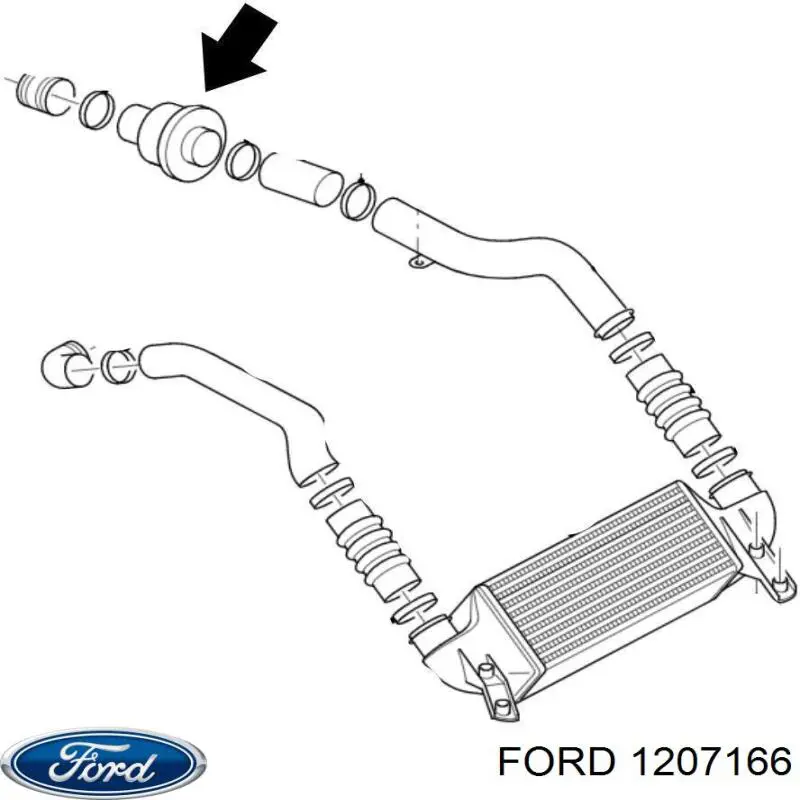  1207166 Ford