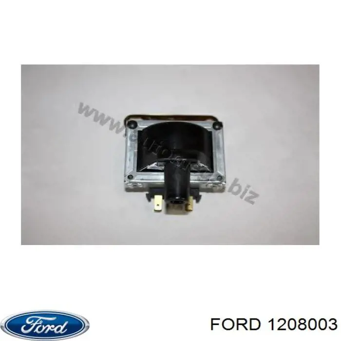 2S619P732AB Ford 