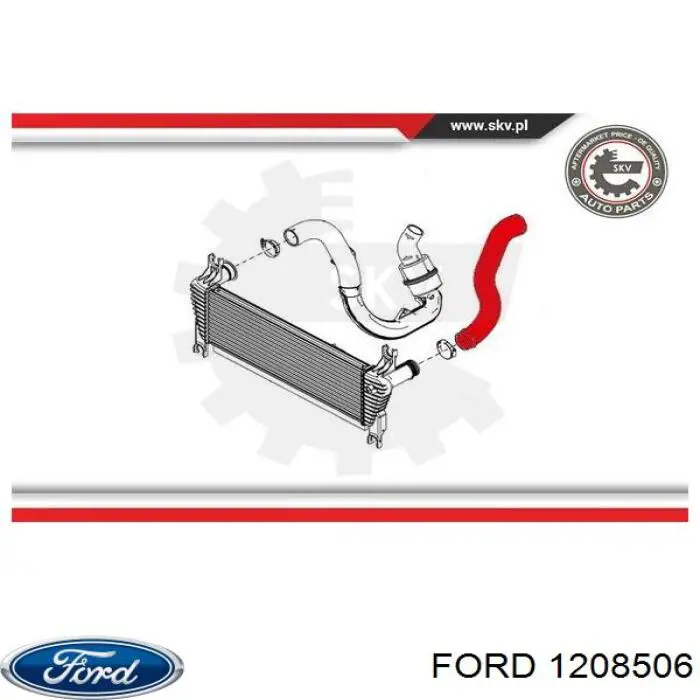1208506 Ford 