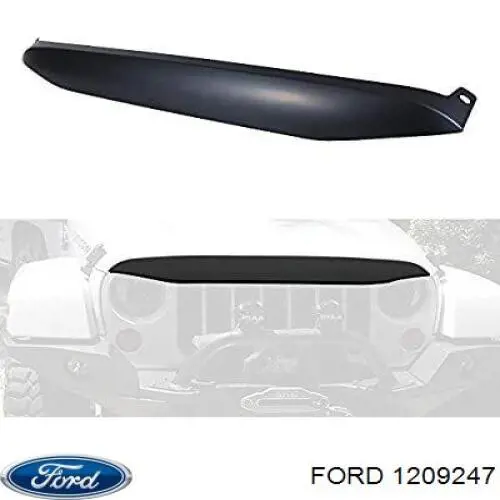  1209247 Ford