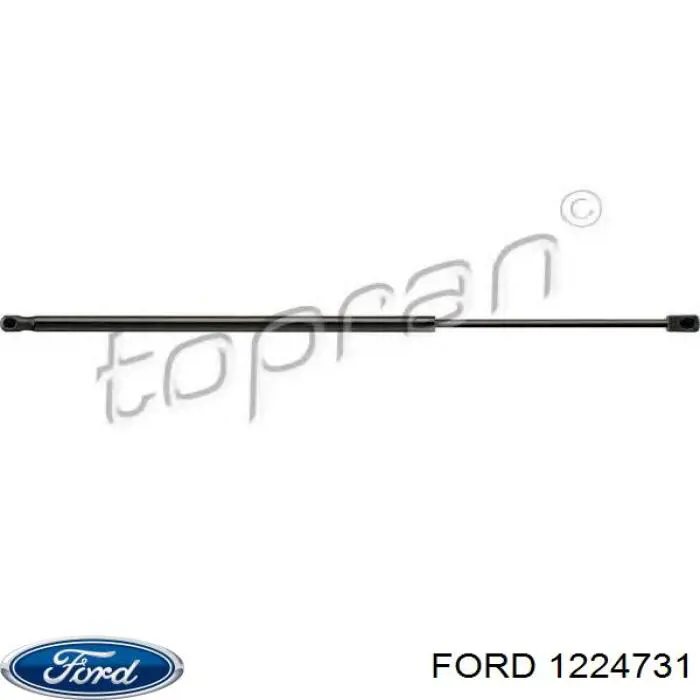 Амортизатор двері задньої Ford 1224731 ціна, від 9.99 USD