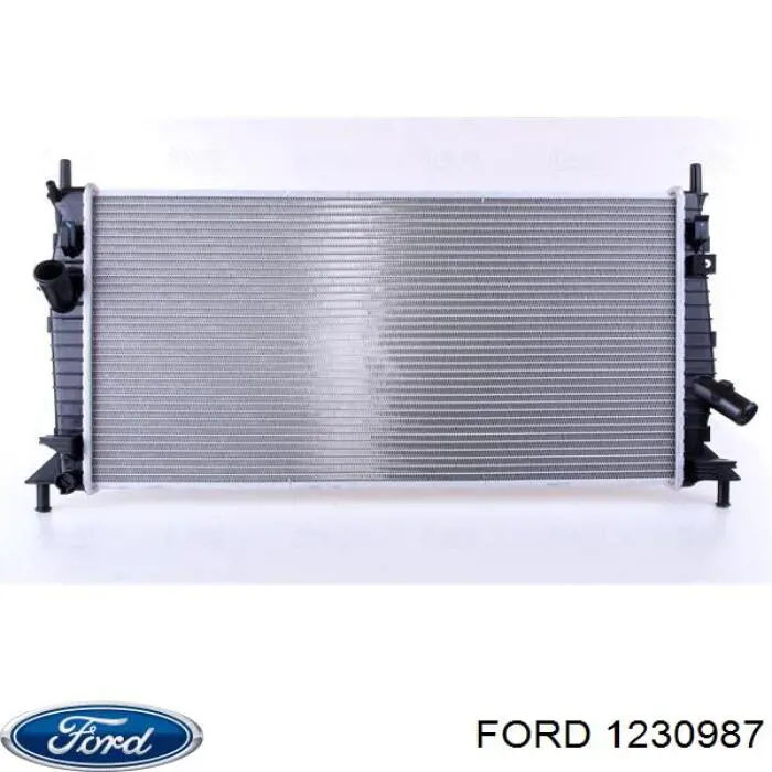 1230987 Ford радіатор охолодження двигуна