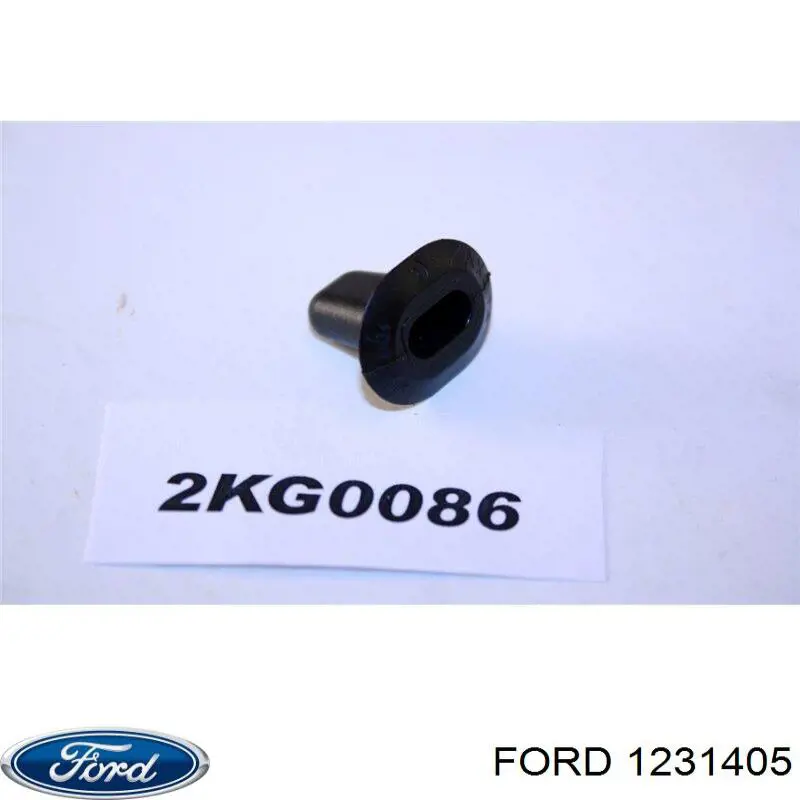 1231405 Ford 