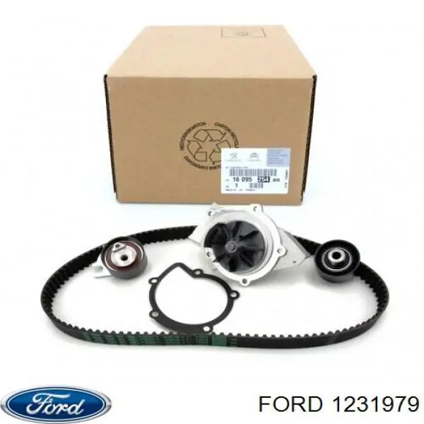 Купити 1231979 Ford ГРМ ремень