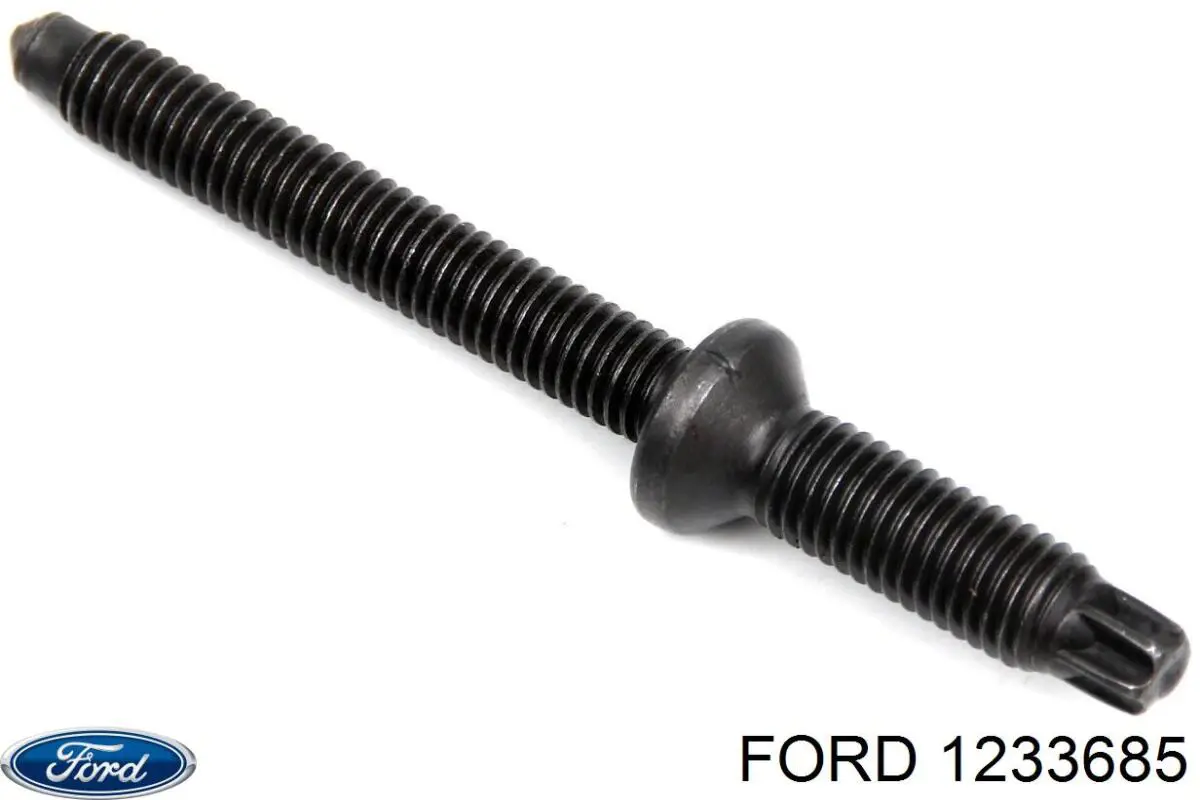 Болт кріплення форсунки Ford Focus 2 (DA) (Форд Фокус)