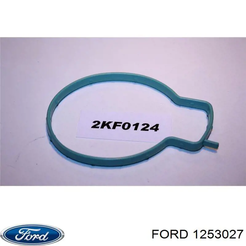 Прокладка дросельної заслінки Ford Focus 2 (DA) (Форд Фокус)