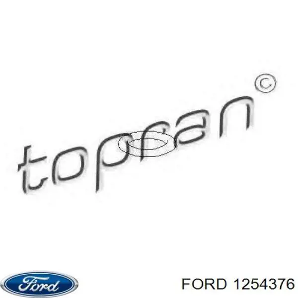 Купити 1254376 Ford Прокладка впускного колектора