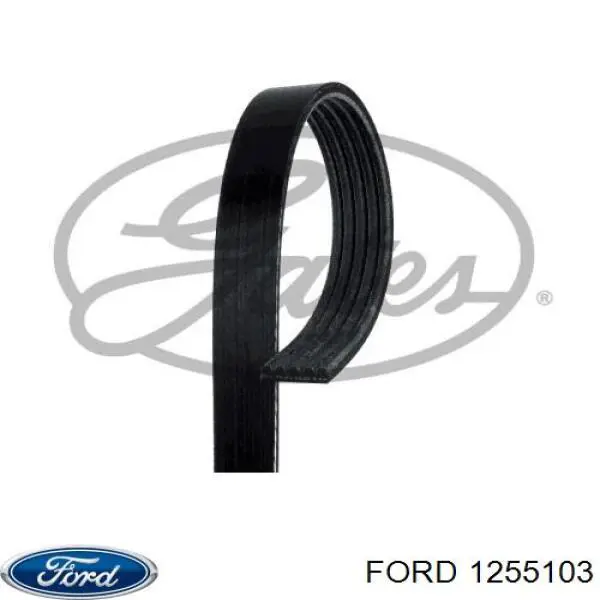 Ремінь генератора 1255103 Ford