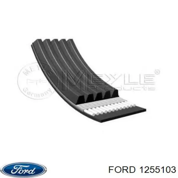 1255103 Ford Поліклиновий ремінь