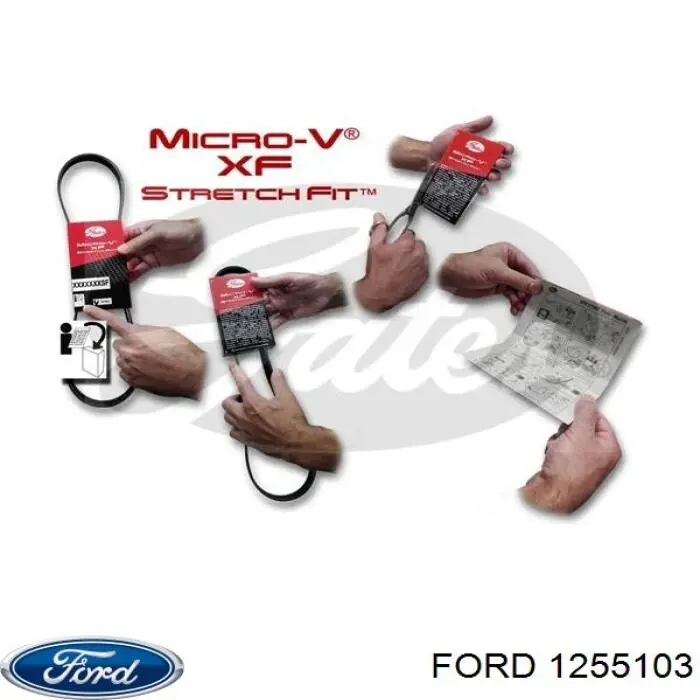 Клиновий ремінь Ford 1255103 ціна, від 13.87 USD