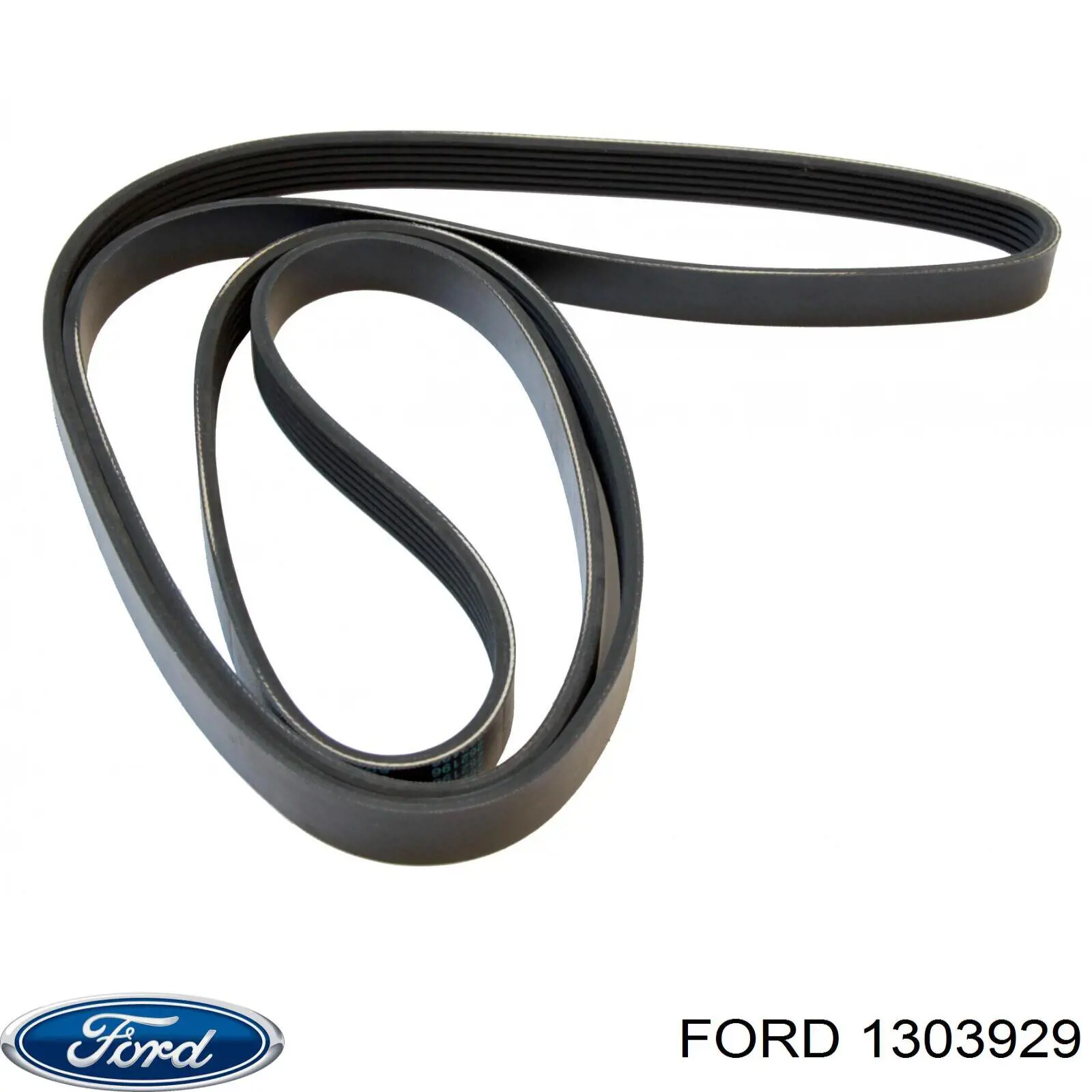 Купити 1303929 Ford Ремінь генератора