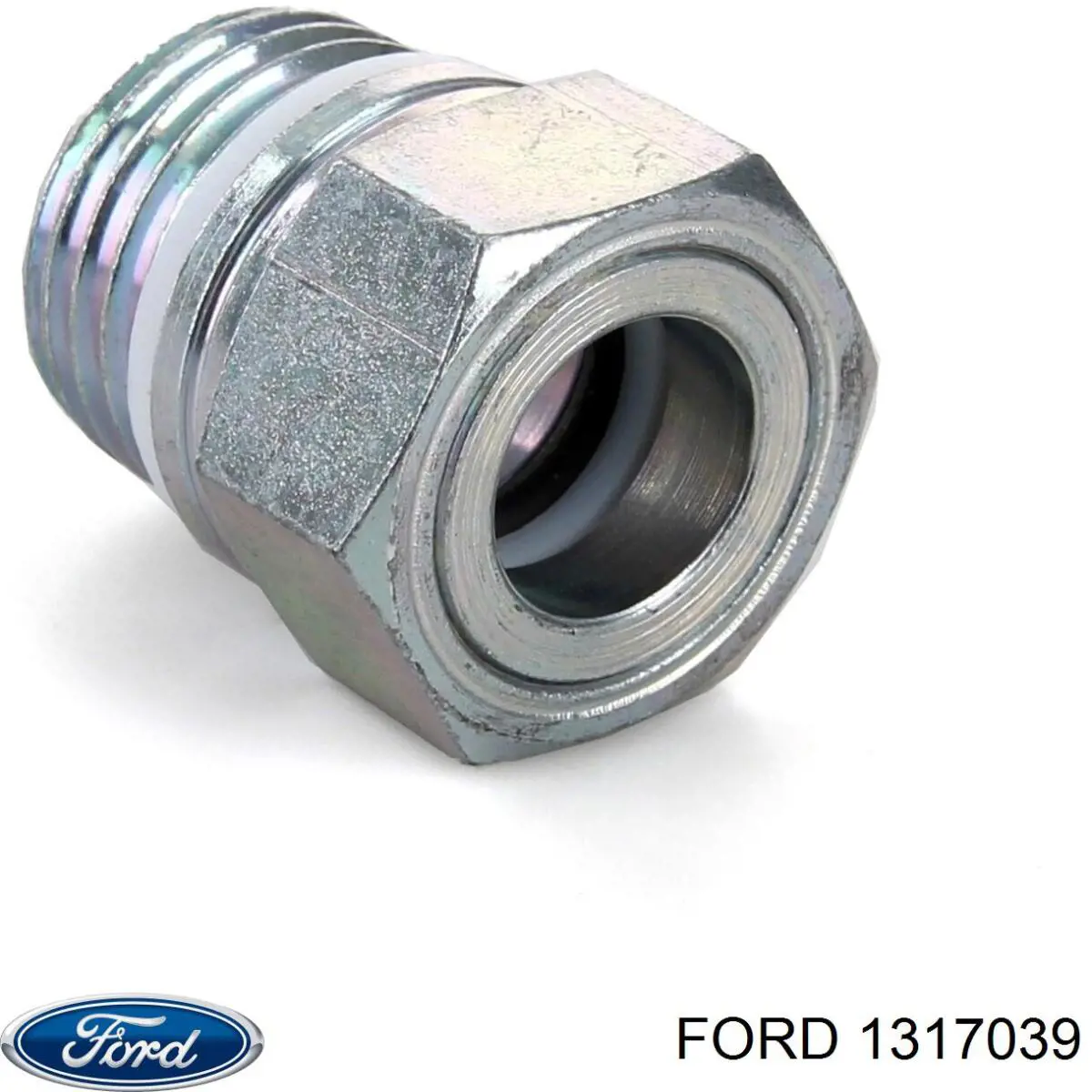 Купити 1317039 Ford Шланг ГПК, низького тиску, від бачка до насосу