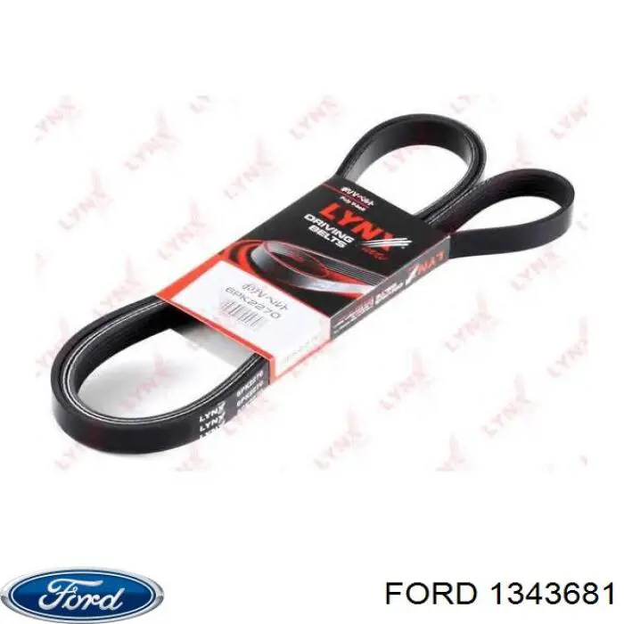 5L8Q6C301AB Ford Поліклиновий ремінь