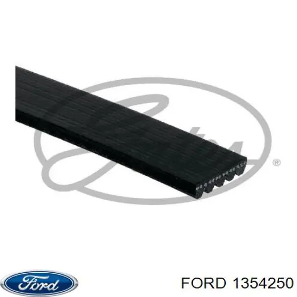 Купити 1354250 Ford Ремінь приводний, агрегатів, комплект