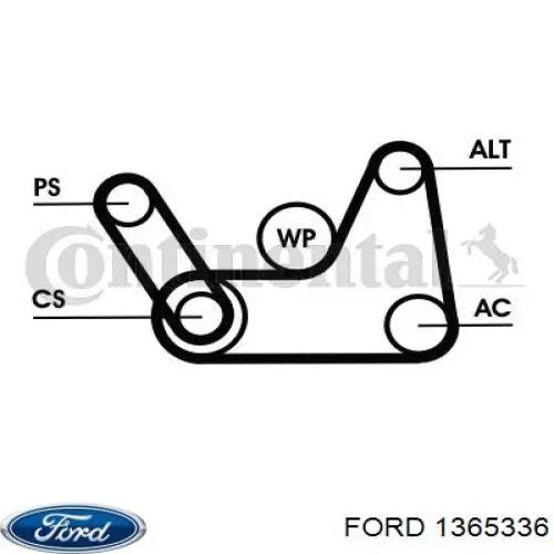1365336 Ford Поліклиновий ремінь