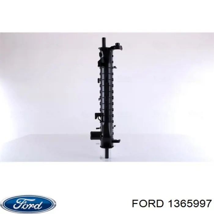 1365997 Ford шланг/патрубок радіатора охолодження, нижній