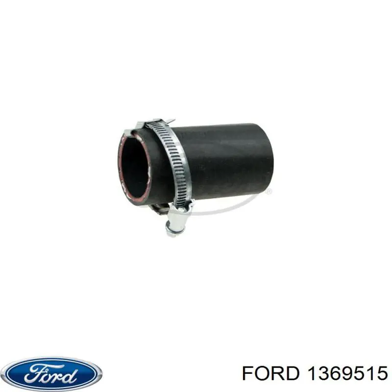 1509715 Ford 