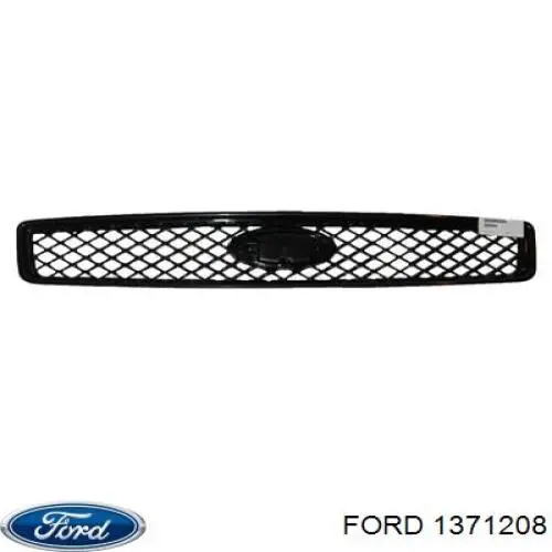 Купити 6S618200AC55MW Ford Захисна решітка радіатора