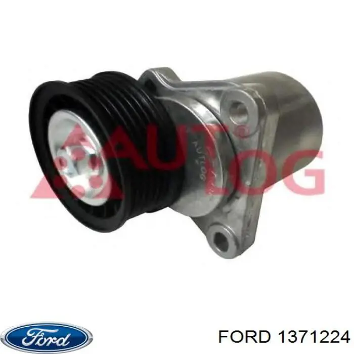 Натягувач приводного ременя Ford 1371224 ціна, від 29.73 USD