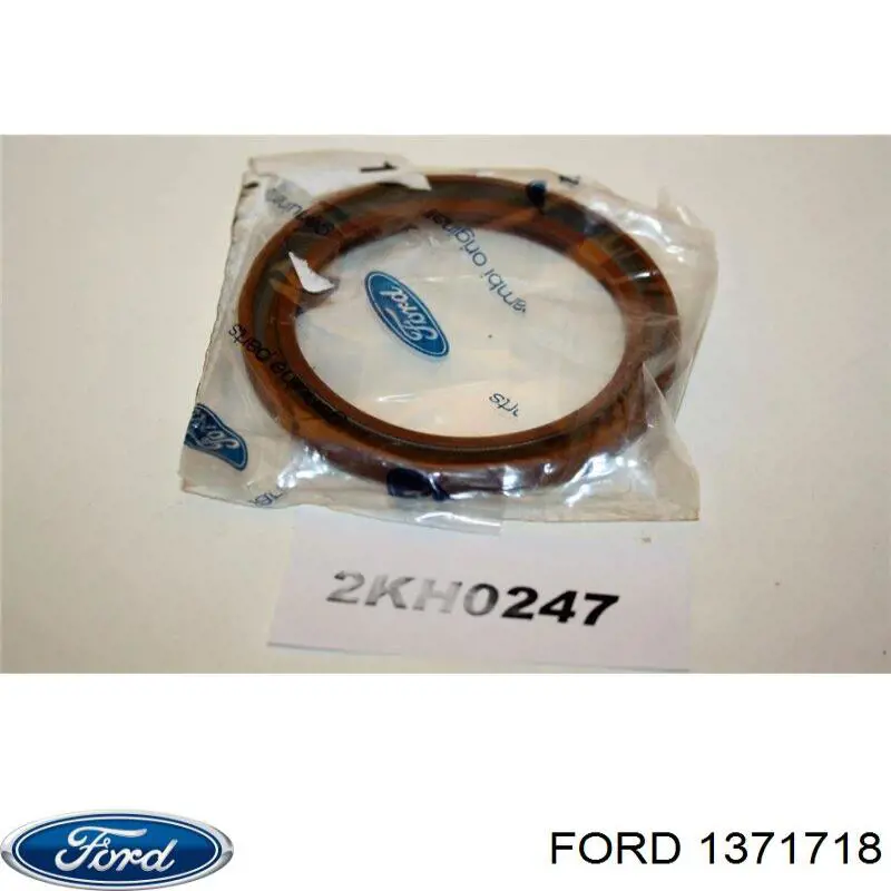 1371718 Ford сальник двигуна, распредвала