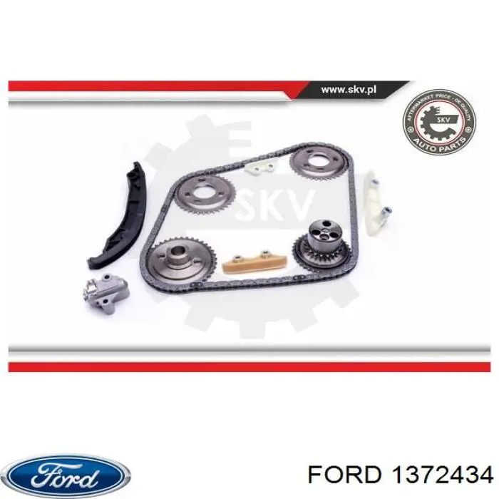 Купити 1372434 Ford Натягувач ланцюга ГРМ