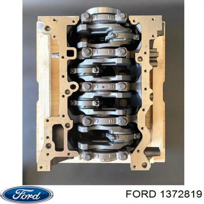 Блок двигуна Ford 1372819 ціна, від 51.93 USD