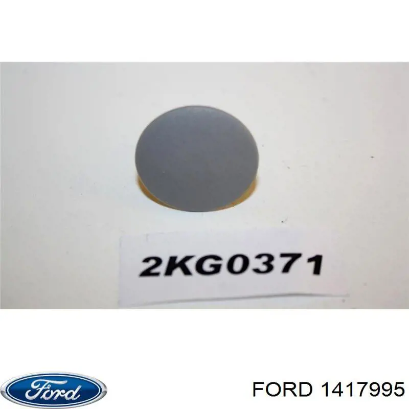 Пістон (кліп) кріплення обшивки дверей 1417995 Ford