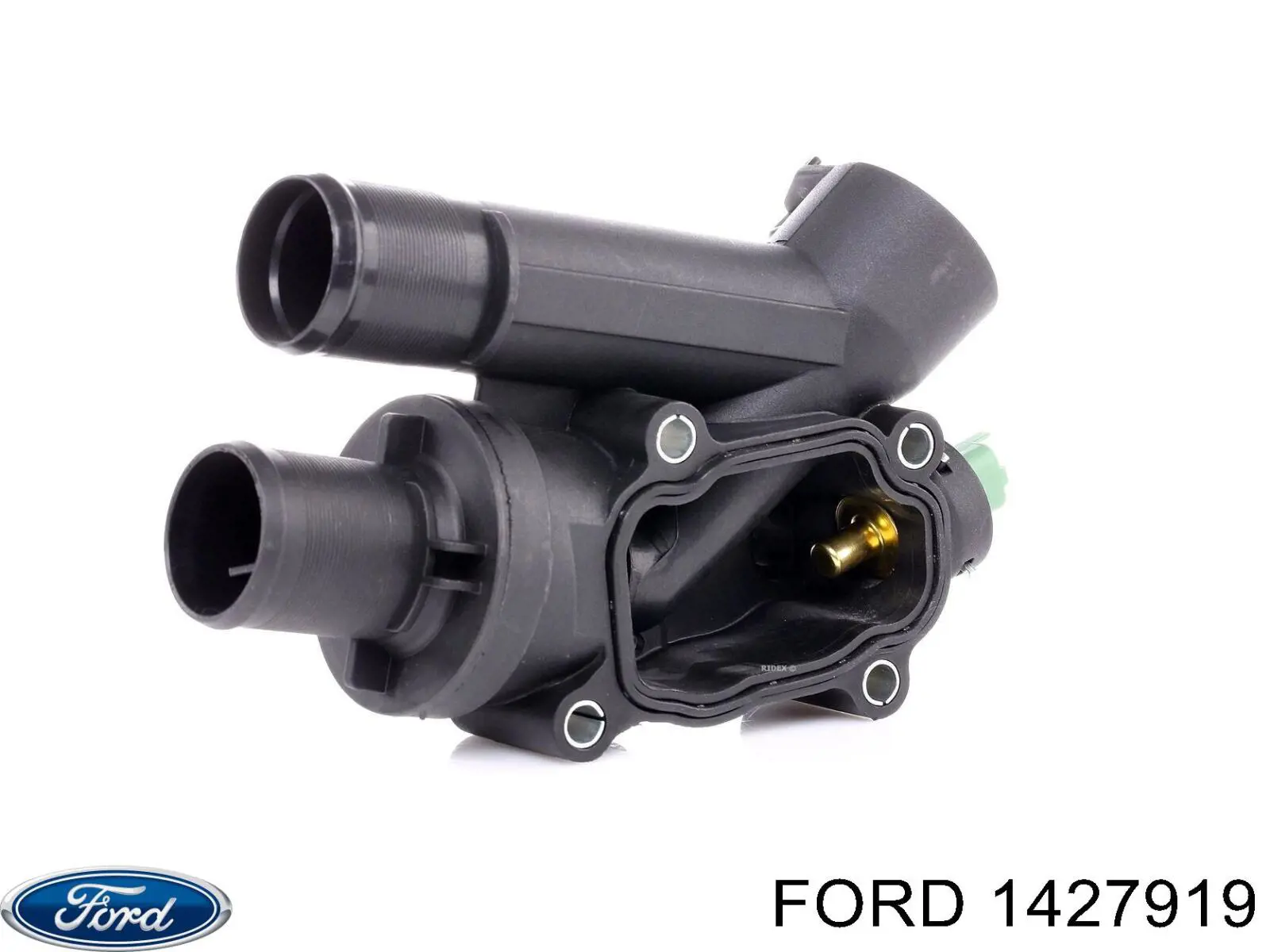 Купити 1427919 Ford Корпус термостата
