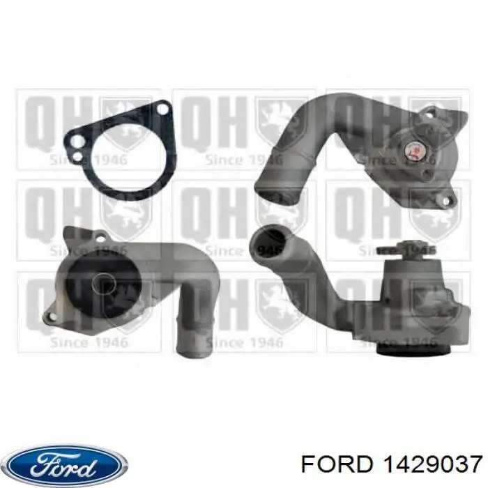 Помпа охолодження Ford 1429037 ціна, від 35.43 USD