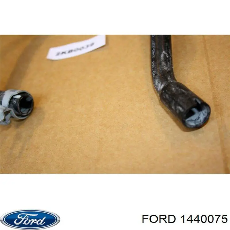 6C1119A606AA Ford 