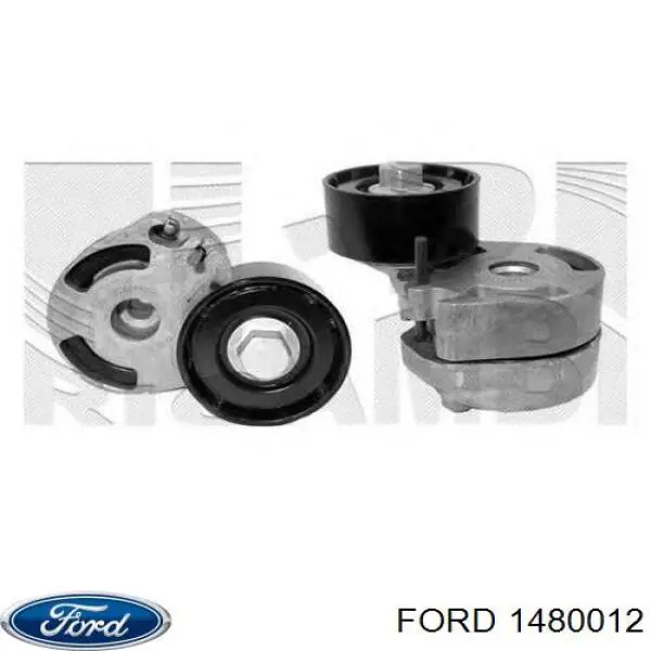 1480012 Ford натягувач приводного ременя