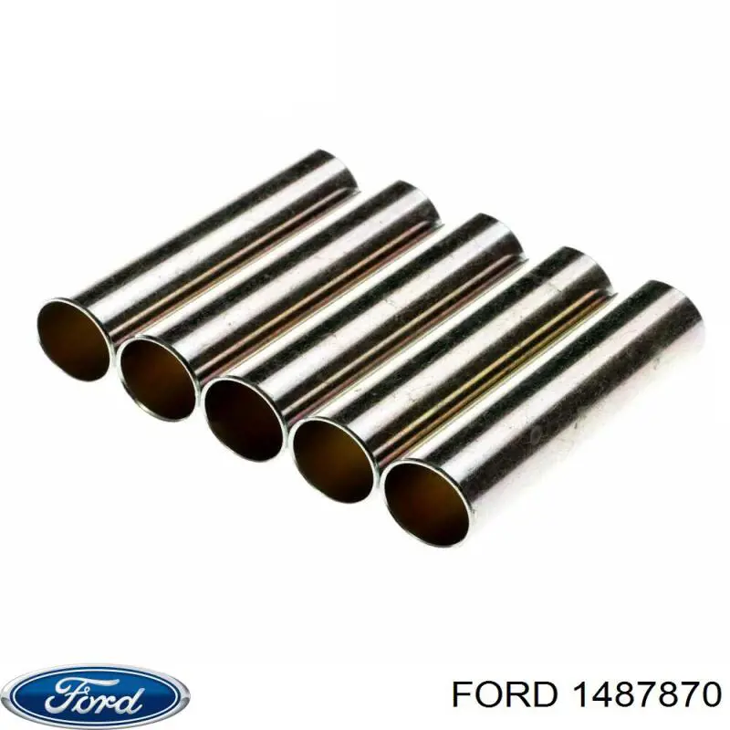 Ремкомплект форсунки на Ford Focus (DA)