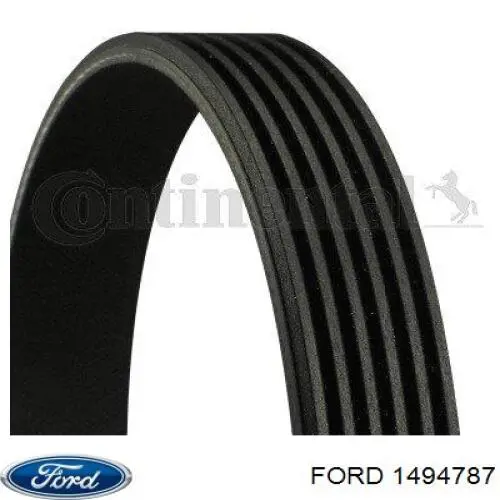 Купити 1494787 Ford Ремінь генератора