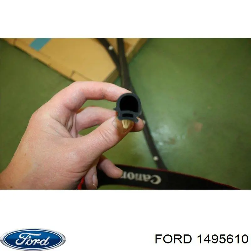 Ущільнювач двері передньо, правої (на двері) Ford C-Max (CB3) (Форд C-Max)